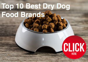 best dry dog food reviews 2018